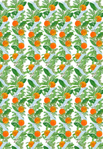 Holiday Citrus Christmas Gift Wrap Sheets